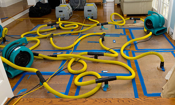 Professional Structural Drying And Dehumidification technician working in Ellis Grove, IL